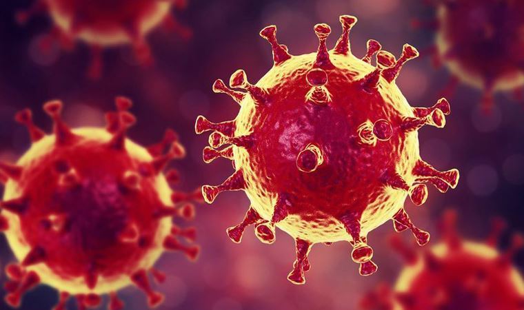Sıcaklık Koronavirüsü Öldürebilir mi?